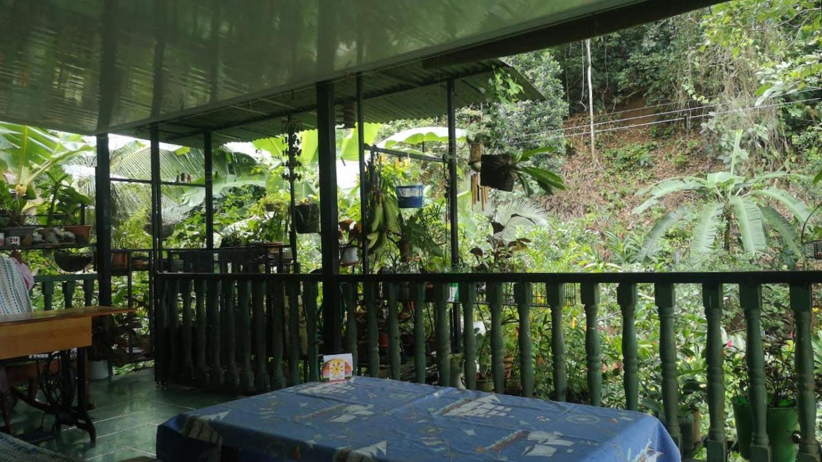 Golfito Maison D'Hotes Ngoại thất bức ảnh